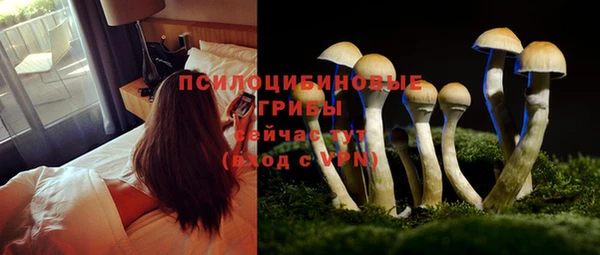 МДПВ Новозыбков