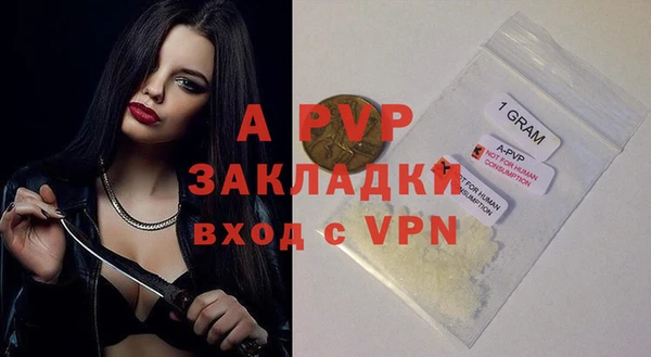 амф Новодвинск