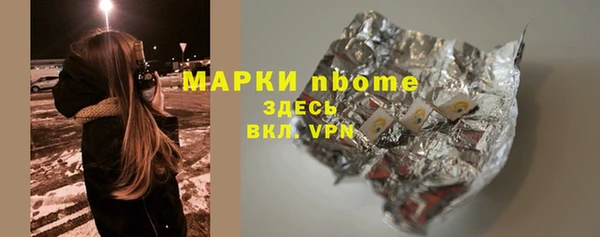 твердый Няндома