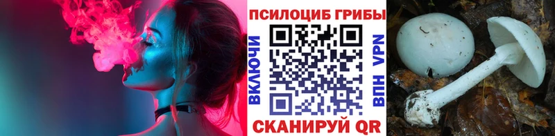 Галлюциногенные грибы GOLDEN TEACHER  наркота  Александровск-Сахалинский 